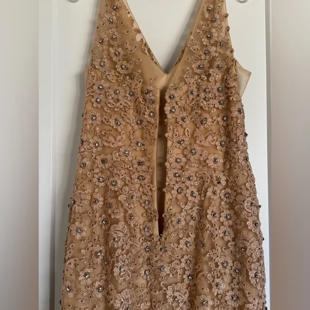 Gold Prom/Grad Dress - Picture 3 of 5